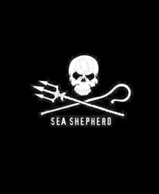 Sea Shepherd. 40 years. The official book. Ediz. illustrata  - Libro Skira 2018, Fotografia | Libraccio.it