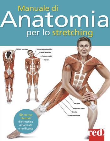 Manuale di anatomia per lo stretching. 50 esercizi illustrati di stretching, rinforzante e tonificante - Ken Ashwell - Libro Red Edizioni 2015, Discipline | Libraccio.it