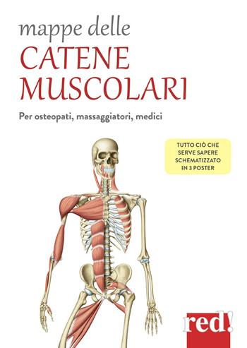 Mappe delle catene muscolari. Per osteopati, massaggiatori, medici  - Libro Red Edizioni 2018, Mappe | Libraccio.it