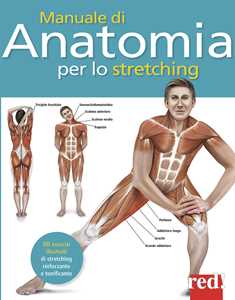 Image of Manuale di anatomia per lo stretching. 50 esercizi illustrati di ...