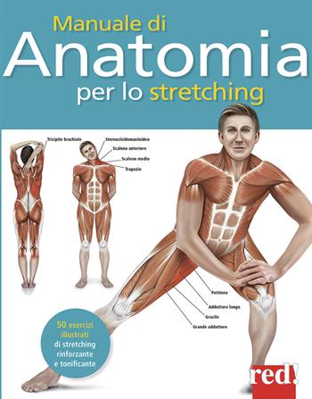 Manuale di anatomia per lo stretching. 50 esercizi illustrati di stretching, rinforzante e tonificante - Ken Ashwell - Libro Red Edizioni 2022, Discipline | Libraccio.it
