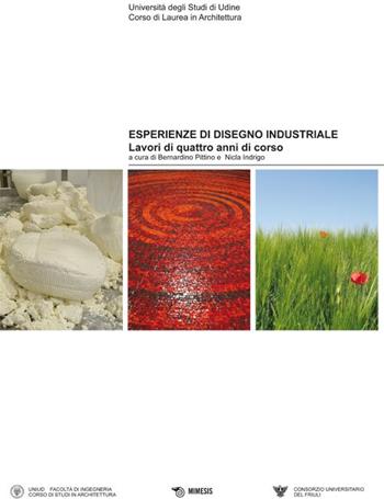 Esperienze di disegno industriale. Lavori di quattro anni di corso. Ediz. illustrata  - Libro Mimesis 2009 | Libraccio.it