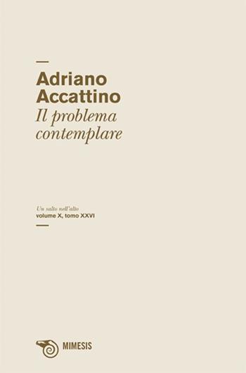 Un salto nell'alto. Vol. 10\26: Il problema del contemplare. - Adriano Accattino - Libro Mimesis 2010, Salto nell'alto | Libraccio.it