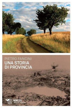 Una storia di provincia - Pietro Fancini - Libro Mimesis 2011, Meledoro | Libraccio.it