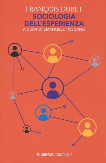 Sociologia dell'esperienza - François Dubet - Libro Mimesis 2016, Sociologie | Libraccio.it