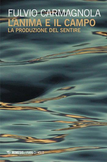 L' anima e il campo. La produzione del sentire - Fulvio Carmagnola - Libro Mimesis 2016, Piani di volo | Libraccio.it