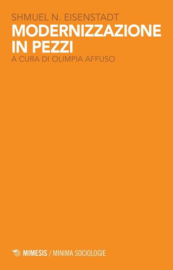 Modernizzazione in pezzi - Shmuel N. Eisenstadt - Libro Mimesis 2017, Minima / Sociologie | Libraccio.it
