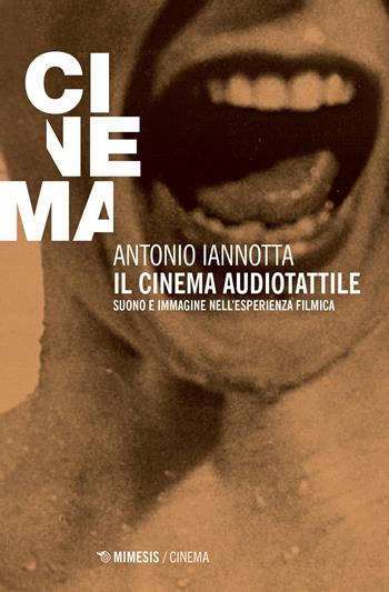 Il cinema audiotattile. Suono e immagine nell'esperienza filmica - Antonio Iannotta - Libro Mimesis 2017, Mimesis-Cinema | Libraccio.it