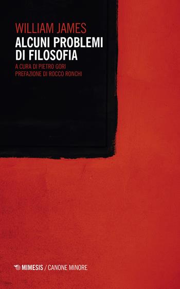 Alcuni problemi di filosofia - William James - Libro Mimesis 2021, Canone minore | Libraccio.it