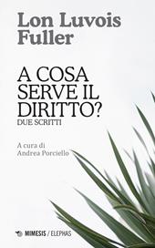 A cosa serve il diritto? Due scritti