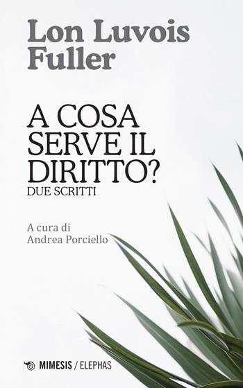 A cosa serve il diritto? Due scritti - Lon Luvois Fuller - Libro Mimesis 2021, Elephas | Libraccio.it
