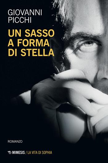 Un sasso a forma di stella - Giovanni Picchi - Libro Mimesis 2021, La vita di Sophia | Libraccio.it