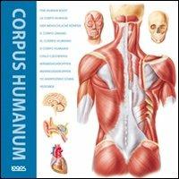Corpus humanum. Ediz. italiana, inglese, francese, spagnola e tedesca  - Libro Logos 2011 | Libraccio.it