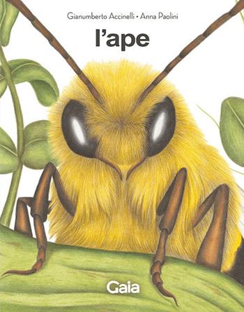 L'ape e il fantasma dell'alveare. Ediz. a colori - Gianumberto Accinelli - Libro Logos 2023, Gaia | Libraccio.it