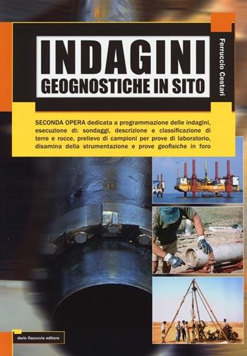 Indagini geognostiche in sito - Ferruccio Cestari - Libro Flaccovio Dario 2013 | Libraccio.it