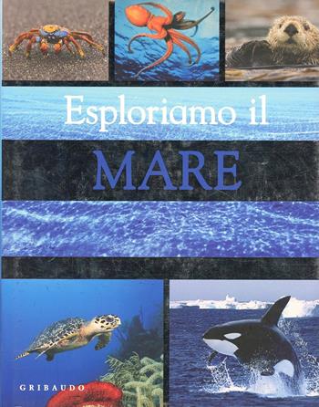 Esploriamo il mare. Ediz. illustrata  - Libro Gribaudo 2012 | Libraccio.it