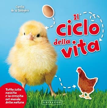 Il ciclo della vita. Tutto sulla nascita e la crescita nel mondo della natura. Ediz. illustrata - Camilla de La Bédoyère - Libro Gribaudo 2013, Imparare per gioco | Libraccio.it