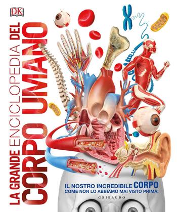 La grande enciclopedia del corpo umano. Ediz. a colori  - Libro Gribaudo 2017, Enciclopedia per ragazzi | Libraccio.it