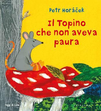 Il topino che non aveva paura. Ediz. a colori - Petr Horácek - Libro Gribaudo 2018, Raggi di luna | Libraccio.it