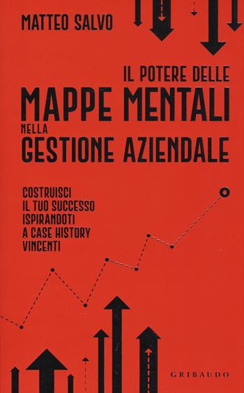 Il potere delle mappe mentali nella gestione aziendale - Matteo Salvo - Libro Gribaudo 2019, Straordinariamente | Libraccio.it