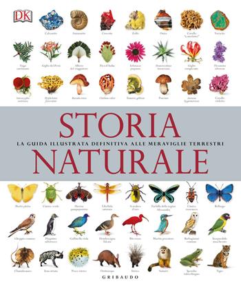 Storia naturale. La guida illustrata definitiva alle meraviglie terrestri  - Libro Gribaudo 2018, Passioni | Libraccio.it