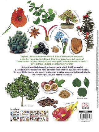 Alberi, foglie, fiori & semi. Lo straordinario regno vegetale. Ediz. illustrata  - Libro Gribaudo 2020, Enciclopedia per ragazzi | Libraccio.it