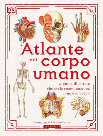 L' atlante del corpo umano  - Libro Gribaudo 2022, Enciclopedia per ragazzi | Libraccio.it