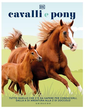Cavalli e pony. Ediz. illustrata  - Libro Gribaudo 2023, Enciclopedia per ragazzi | Libraccio.it