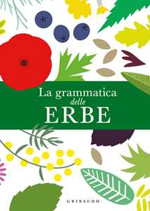 Image of La grammatica delle erbe
