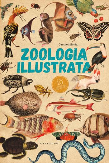 Zoologia illustrata. Con 10 poster - Carmen Soria - Libro Gribaudo 2023, Enciclopedia per ragazzi | Libraccio.it