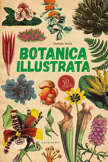 Botanica illustrata. Con 10 poster - Carmen Soria - Libro Gribaudo 2023, Enciclopedia per ragazzi | Libraccio.it