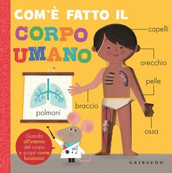Com'è fatto il corpo umano. Ediz. a colori  - Libro Gribaudo 2024, Osservo e imparo | Libraccio.it