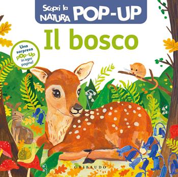 Il bosco. Scopri la natura pop up. Ediz. a colori  - Libro Gribaudo 2024, Osservo e imparo | Libraccio.it