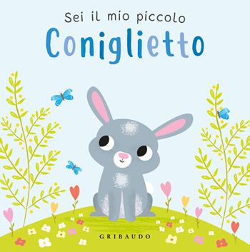 Sei il mio piccolo coniglietto. Ediz. a colori  - Libro Gribaudo 2024, Primi libri (0-5) | Libraccio.it