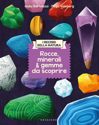 Rocce, minerali & gemme da scoprire. I record della natura - Giulia Bartalozzi, Diego Vaisberg - Libro Gribaudo 2024, Albi illustrati | Libraccio.it
