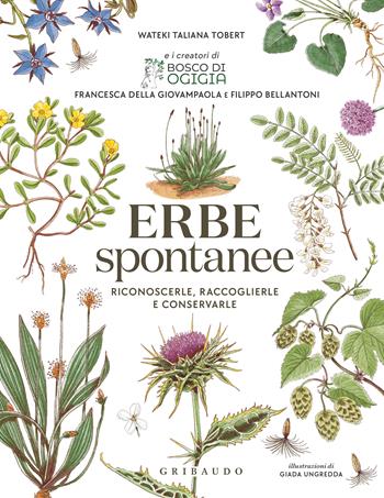 Erbe spontanee. Riconoscerle, raccoglierle e conservarle - Wateki Taliana Tobert, Francesca Della Giovampaola, Filippo Bellantoni - Libro Gribaudo 2025, Hobby | Libraccio.it
