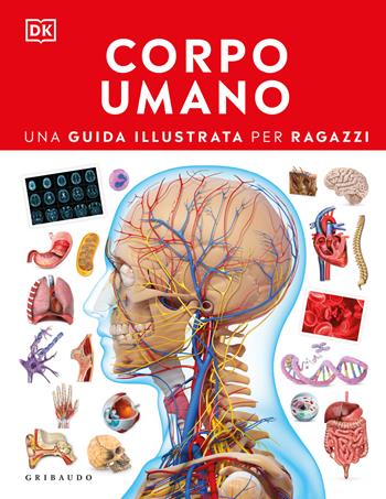 Corpo umano. Una guida illustrata per ragazzi  - Libro Gribaudo 2025, Enciclopedia per ragazzi | Libraccio.it