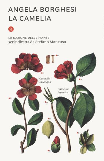 La camelia. La nazione delle piante - Angela Borghesi - Libro Laterza 2019, I Robinson. Letture | Libraccio.it