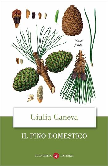 Il pino domestico - Giulia Caneva - Libro Laterza 2021, Economica Laterza | Libraccio.it
