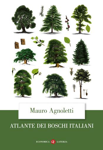 Atlante dei boschi italiani - Mauro Agnoletti - Libro Laterza 2024, Economica Laterza | Libraccio.it