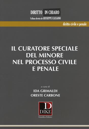 Il curatore speciale del minore nel processo civile e penale  - Libro Dike Giuridica 2018, Diritto in chiaro | Libraccio.it