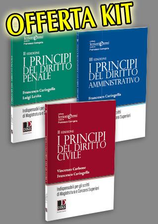 Kit I principi del diritto. I principi del diritto civile-I principi del diritto amministrativo-I principi del diritto penale. Indispensabili per gli scritti di magistratura e concorsi superiori - Vincenzo Carbone, Francesco Caringella, Luigi Levita - Libro Dike Giuridica 2019, Lezioni e temi | Libraccio.it