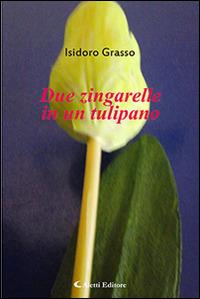 Due zingarelle in un tulipano - Isidoro Grasso - Libro Aletti 2016, Gli emersi narrativa | Libraccio.it