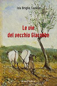 Le vie del vecchio Giacobbe - Ida Briglio Tavano - Libro Aletti 2018, Gli emersi narrativa | Libraccio.it