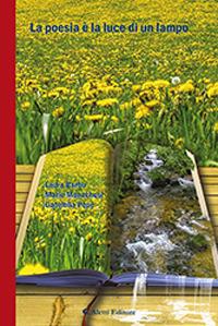 La poesia è la luce di un lampo - Laura Barbu, Mario Monachesi, Gabriella Pepe - Libro Aletti editore 2019, Il paese della poesia | Libraccio.it