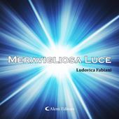 Libraccio Meravogliosa luce (audiolibro)