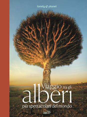 Viaggio tra gli alberi più spettacolari del mondo. Ediz. a colori  - Libro Lonely Planet Italia 2025, Fotografici EDT/Lonely Planet | Libraccio.it