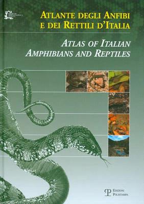 Atlante degli anfibi e dei rettili d'Italia-Atlas of Italian amphibians and reptiles. Ediz. bilingue  - Libro Polistampa 2009 | Libraccio.it