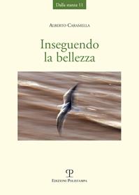 Inseguendo la bellezza - Alberto Caramella - Libro Polistampa 2013, Dalla stanza | Libraccio.it