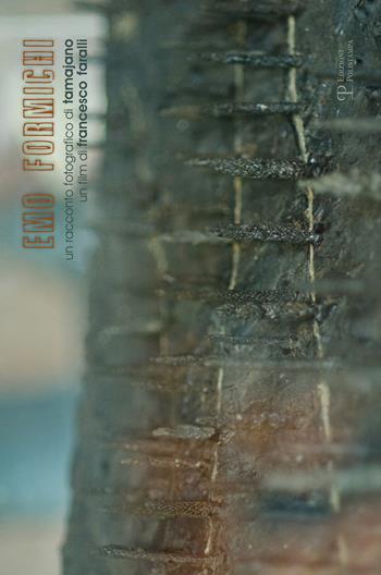 Emo Formichi. Un racconto fotografico di Tamajano. Un film di Francesco Faralli. Ediz. multilingue. Con DVD  - Libro Polistampa 2015 | Libraccio.it